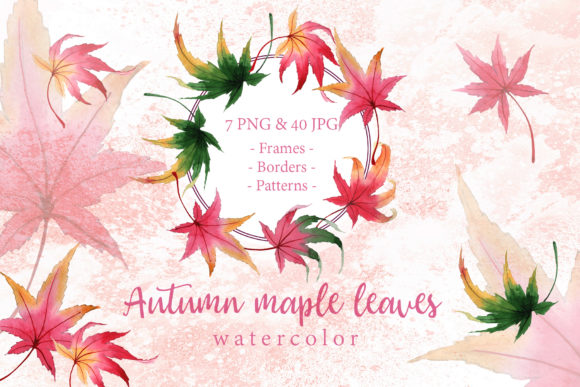 Autumn Maple Leaves Watercolor Set and Illustrations