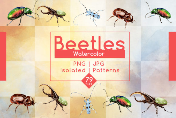 Beetles Watercolor Set and Illustrations