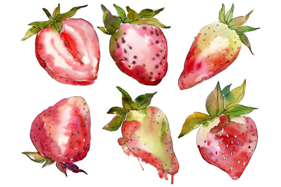 Berry Strawberry Watercolor