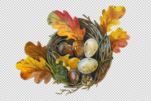 Bird's Nest Watercolor Set Illustrations