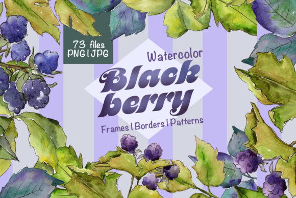 Blackberry Watercolor Set for Illustrations