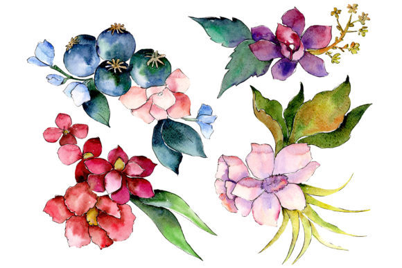 Bouquet of Tropical Colorful Flower Watercolor Illustrations