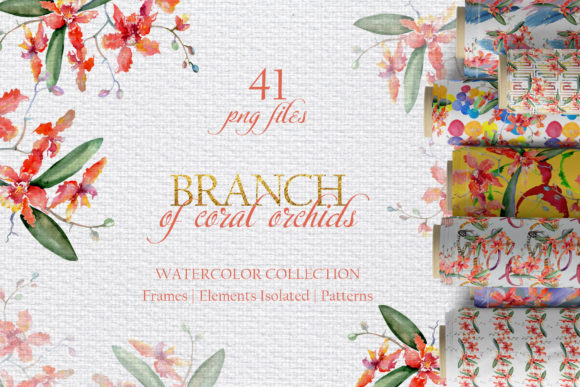 Branch of Coral Orchids Watercolor Png and Illustrations