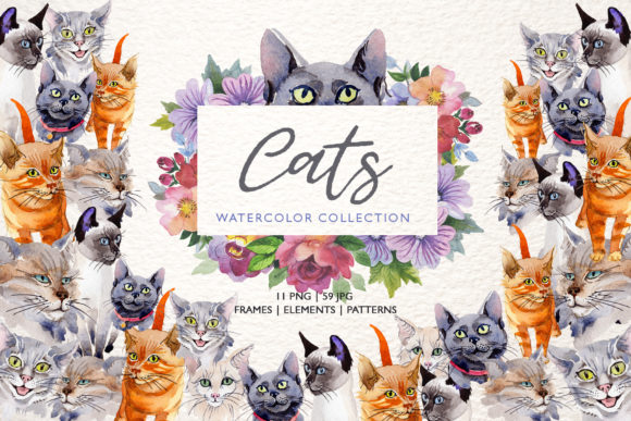 Cats Watercolor Illustrations