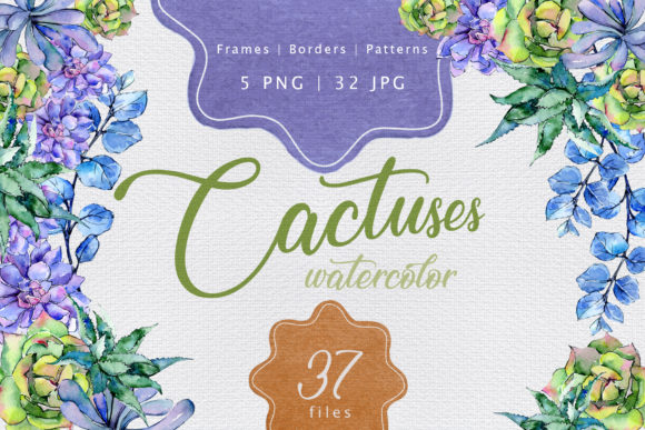 Colorful Cactuses Watercolor Set and Illustrations