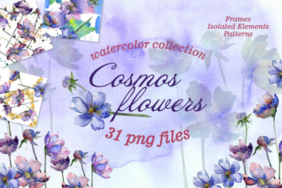 Cosmos Flowers Watercolor Illustrations