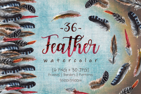 Delightful Feathers Watercolor Set & Illustrations
