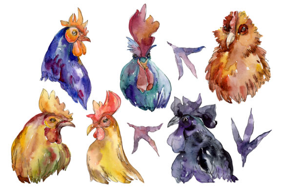 Farm Animals Cock Hen Head Watercolor Illustrations