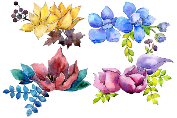 Flower Composition Watercolor Set and Illustrations