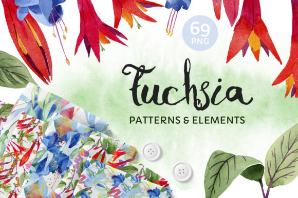 Fuchsia Flower Orange-red Watercolor Illustrations