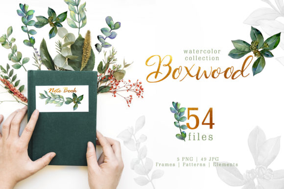 Green Watercolor Boxwood Illustrations