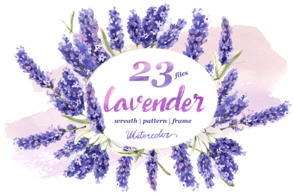Lavender Flowers in Watercolor