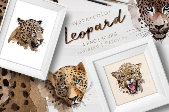 Leopard Watercolor Set for Illustrations