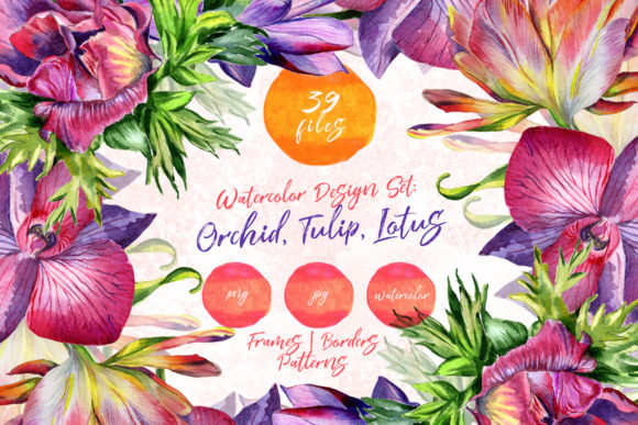 Mix of Flowers Watercolor Set and Illustrations
