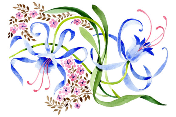 Ornament from a Flower Plant Watercolor