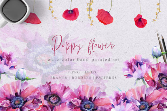 Pink Poppy Flower Watercolor Set and Illustrations