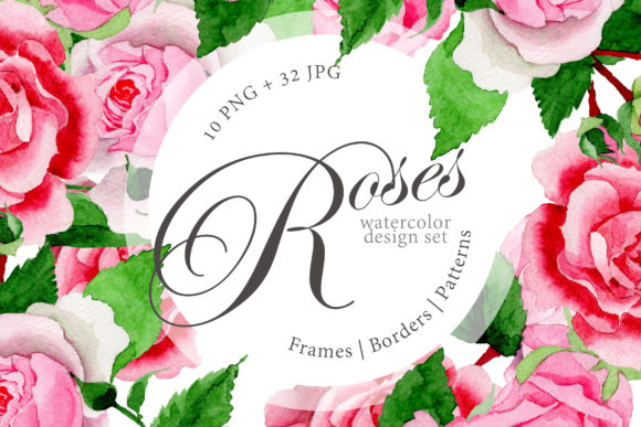 Pink Roses Watercolor Design Set and Illustrations