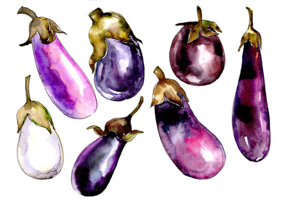 Purple Eggplant Vegetables Watercolor Set and Illustrations
