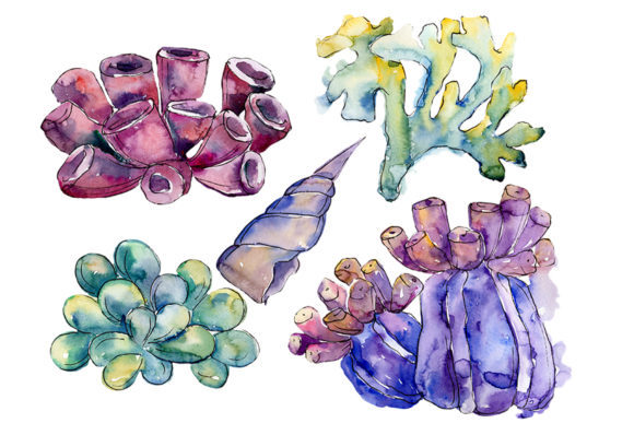 Sea Flowers, Corals Magic Watercolor Illustrations
