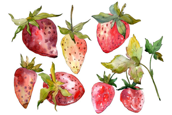 Strawberry Kimberly Watercolor Illustrations