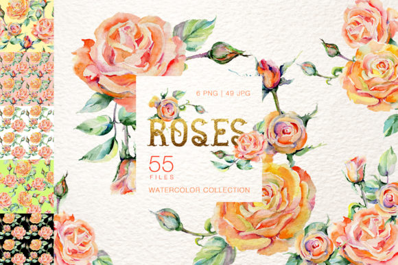 Stylish Rose Watercolor Illustrations