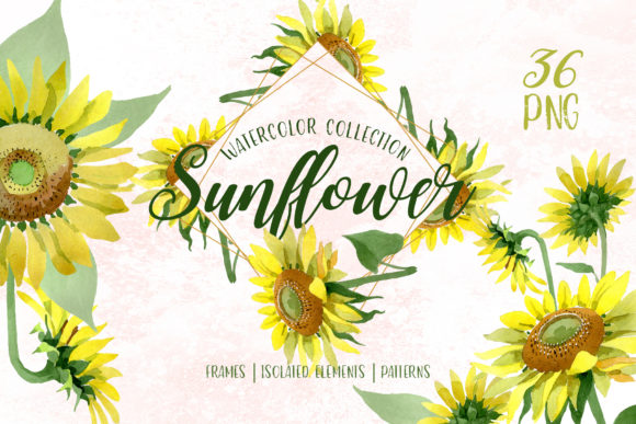 Sunflower Yellow Watercolor Illustrations