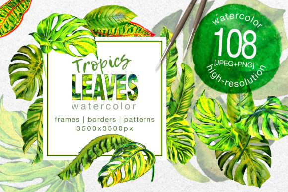 Tropics Leaves Monstera Watercolor Set