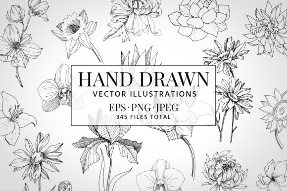 Vector Illustration of Freesia Flower Watercolor