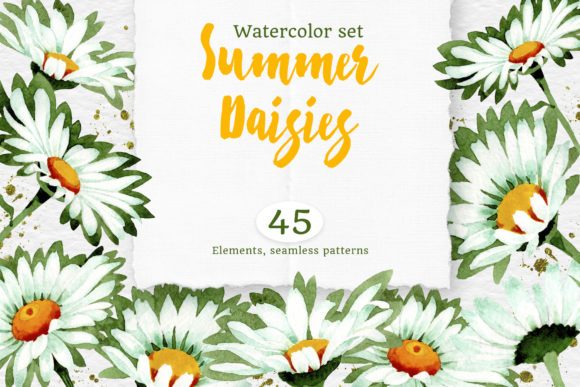Watercolor Daisy White Flower