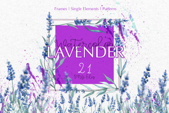 Watercolor Lavender Violet Floral Set and Illustrations