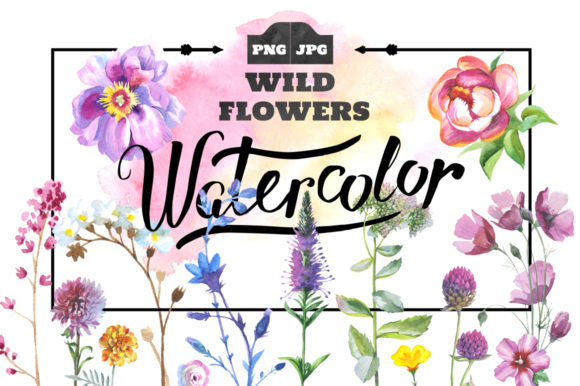 Wild Flowers Watercolor Set for Illustrations