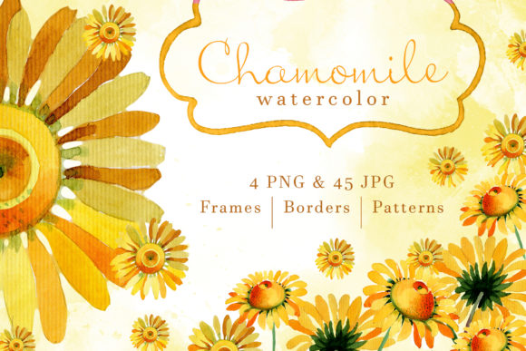 Wildflower Yellow Chamomile Watercolor Set and Illustrations