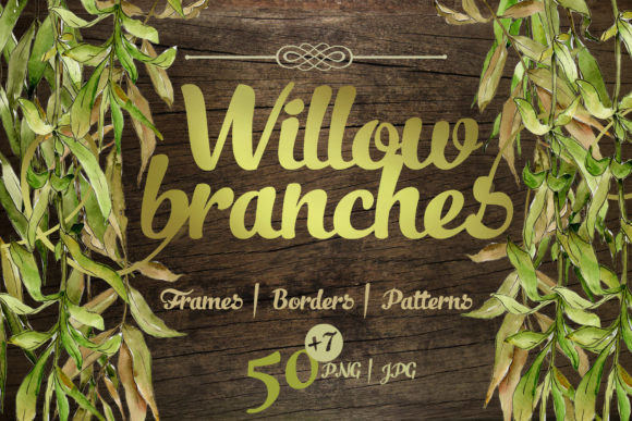 Willow Branches Watercolor Set and Illustrations